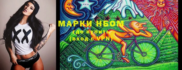 крисы Корсаков