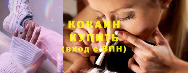 крисы Корсаков