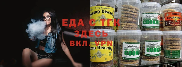 крисы Корсаков