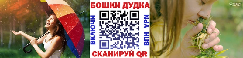 цены Котово Конопля семена